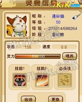 功夫派惊现50级通灵猫(带图)